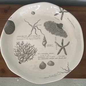 sea life tray